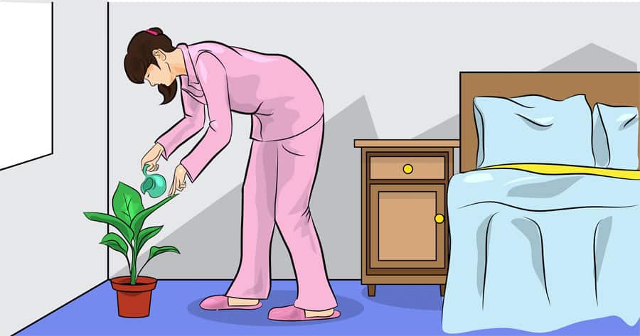 Coloque plantas em seu quarto, mas não por decoração. A razão é realmente ótimo!