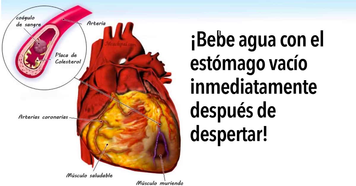 Por que beber água depois de acordar tem enormes benefícios para a sua saúde