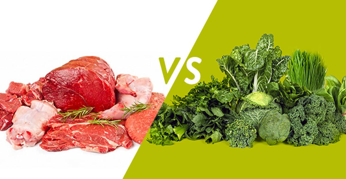Proteínas de origem vegetal vs proteínas de origem animal. Quais reduzem o risco de morte?