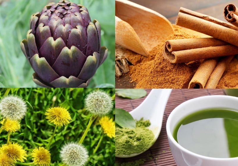 3 plantas medicinais para emagrecer